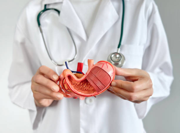 Гастроэнтерология